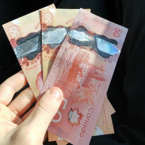 50 CAD photo review